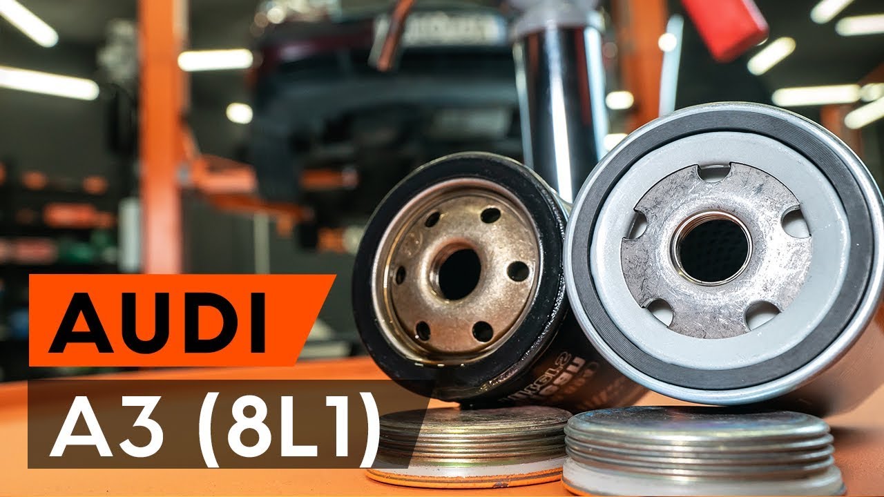 Kaip pakeisti Audi A3 8L1 variklio alyvos ir alyvos filtra - keitimo instrukcija