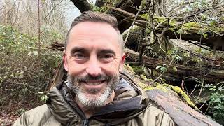 The Codes of Regeneration – Meditation Monday.