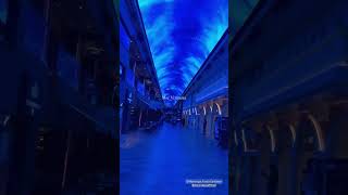 Msc Virtuosa galleria 💙with msc friend matteo bonax #mscvirtuosa #mscfriends