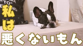 悪戯した結果いじけるフレブル😅