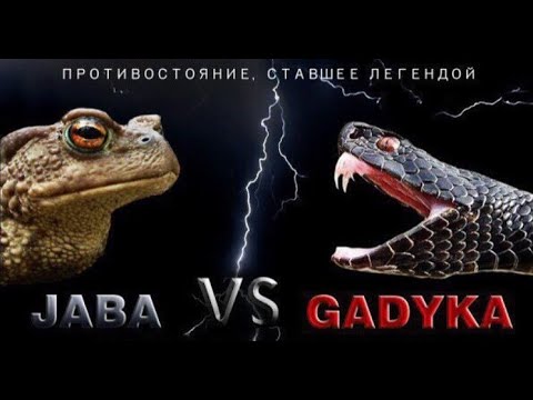 Новый дивный мир