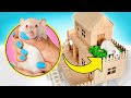 LET’S MAKE POPSICLE STICK HOUSE FOR PET RAT || EASY DIY 🏠🐀