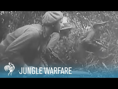 Jungle Warfare: Australians Fight Japanese in New Guinea (1943) | War Archives