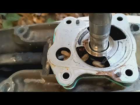 Honda 40hp Outboard Over Heating burnt Impeller. Holy Shit Why?  I got a nest of Carpenter Ants !