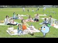Qoo Commercial