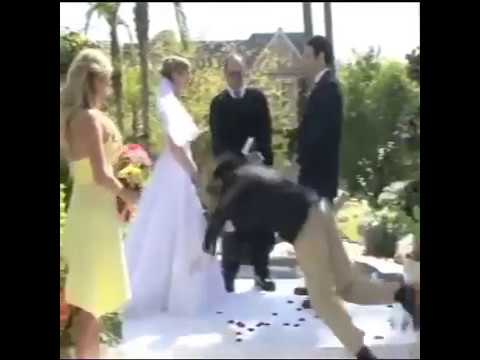 Clumsy best man ruins wedding!  - 7s is  smile  #29
