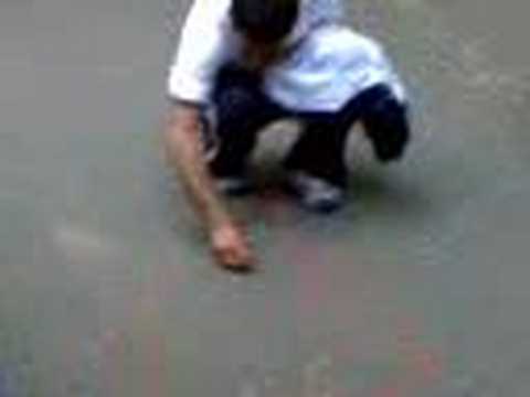 ceausescu a fost pictor asa si primaru ( letca veche)