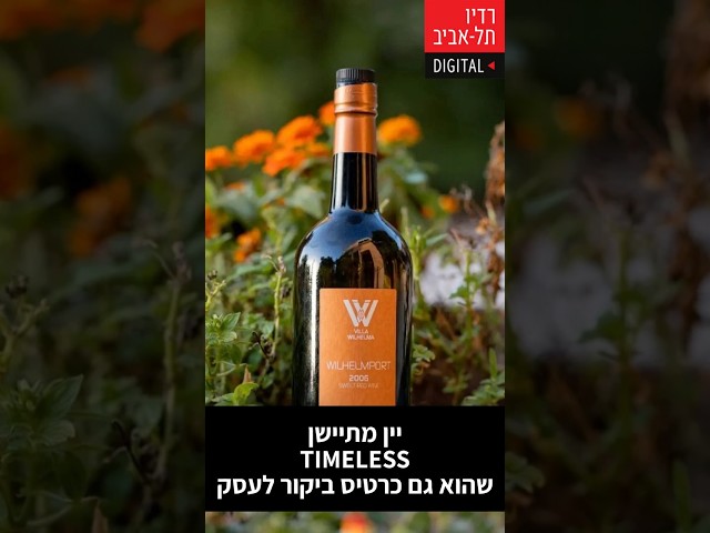   מוטי מסביר מי קהל היעד של יין מתיישן ואיך אפשר להיעזר בו לקידום עסקים, מתוך שיחה של מוטי גולדמן, הבעלים של יקב וילהלמה, עם דני וידיסלבסקי, מומחה...