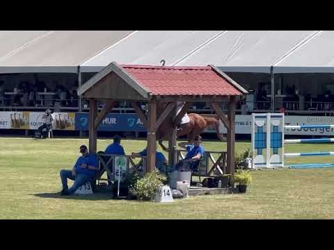 Oliver ADB - 1.45 niveau - Arthur Gustavo da Silva