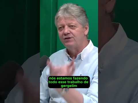 MS terá terceira safra com cultura pulse