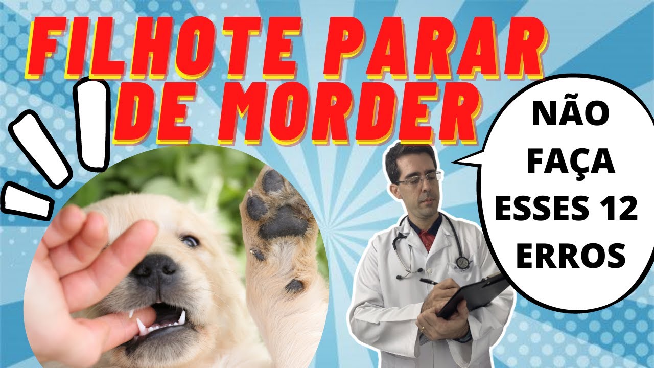 COMO FAZER O FILHOTE DE CACHORRO PARAR DE MORDER: OS 12 ERROS QUE PIORAM O COMPORTAMENTO E VOCÊ FAZ!