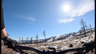 Splish splash Status taking a snow melt bath - Upper Wapiti - Heil Valley Ranch - Lyons - Colorado