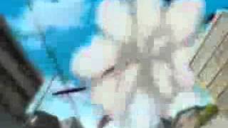 Bleach - had enough of you - amv