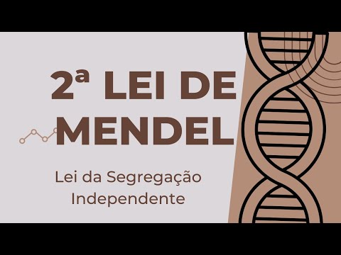 2ª Lei de Mendel com Animação🌼Aula de Genética 04 | Biologia na YRA