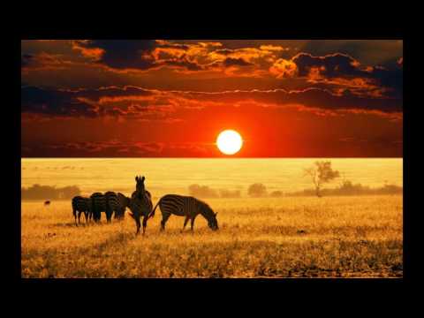 Mobi Dixon Feat Msaki - Love Colour Spin (Infinite Boys Remix)