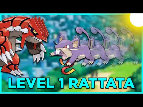 How To Beat A Level 1 Rattata