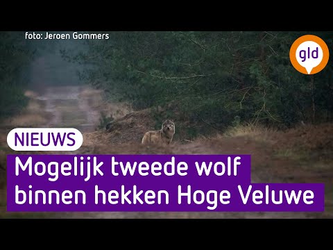 GLD Nieuws 17 februari 2022