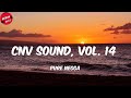 Pure Negga - Cnv Sound, Vol. 14 (Letra/Lyrics)