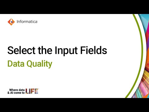 Select the Input Fields in a Verifier Asset in Data Quality