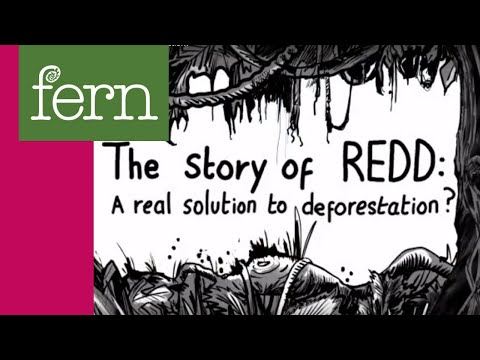 download lagu mp3 mp4 History Of Redd, download lagu History Of Redd gratis, unduh video klip History Of Redd