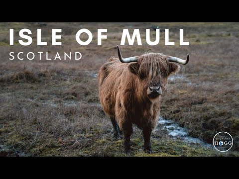 Isle of Mull Winter Camping Road Trip, Scotland (film + guide)