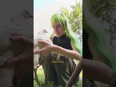 Kura dentystka #alt #alternative #kerrka #kury #smieszne