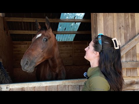 I’ve had to make a really hard decision