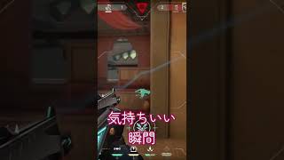 たまにあるよね？🫡