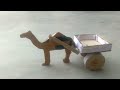 Cardboard Camel