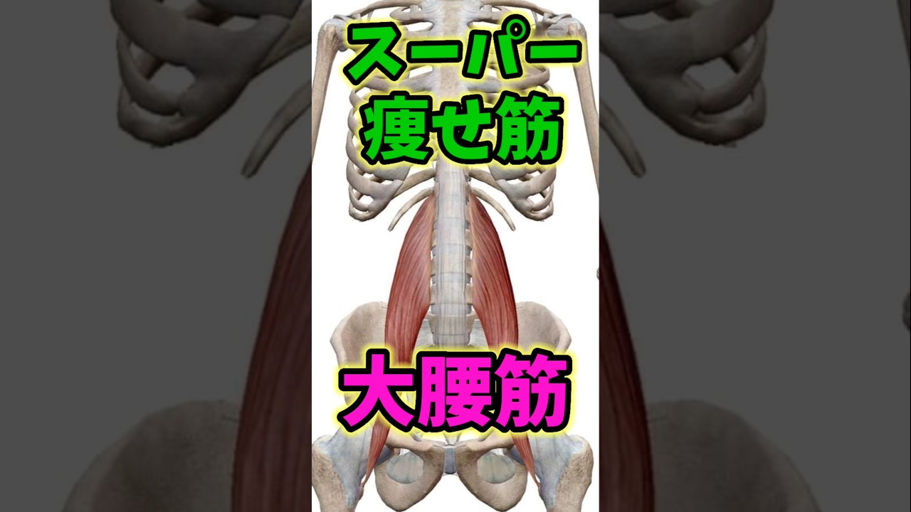 痩せてる人はコレやってる！どんどん痩せる歩き方！#痩せる　#歩き方
