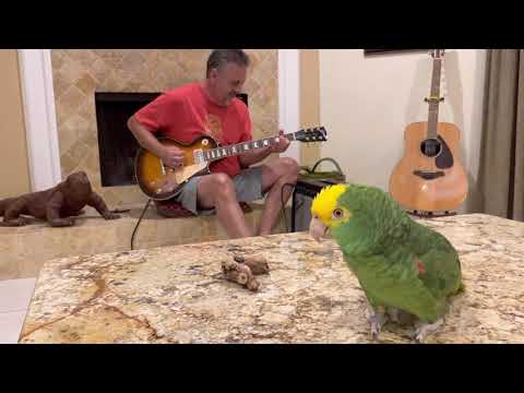 don’t fear the reaper