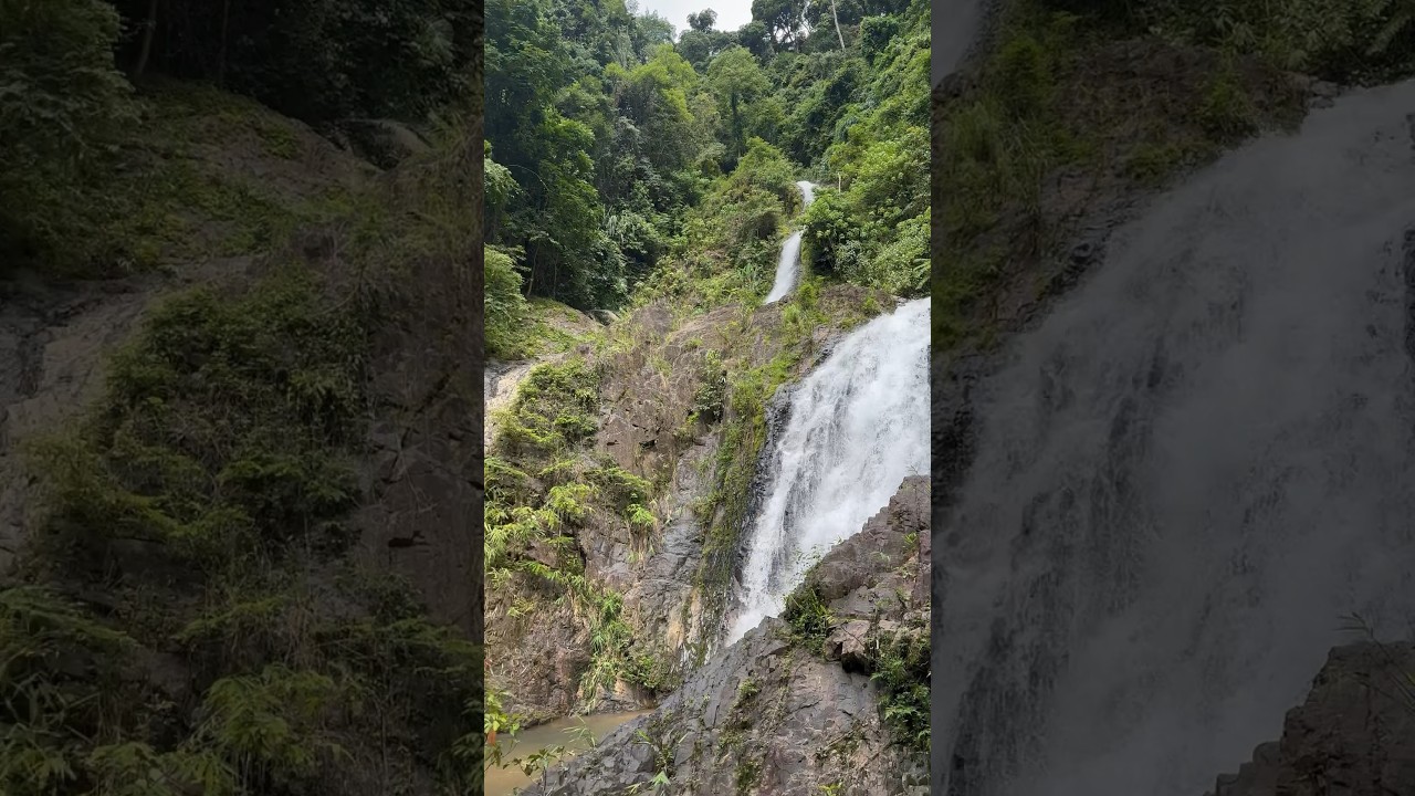 YouTube Short thumbnail