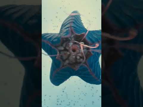 suicide squad vs starro the conqueror whatsapp status HD video Part-1 #short #uk07hollywoodstudios