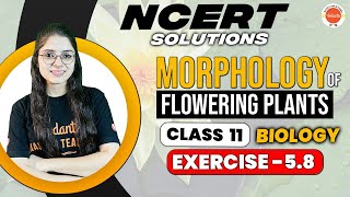 Morphology of Flowering Plants | NCERT EXERCISE 5.8 | Class 11 Biology | CBSE 2024