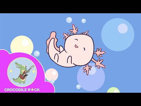 Axolotl Song | Original music for kids | Meet the cutest Mexican salamander