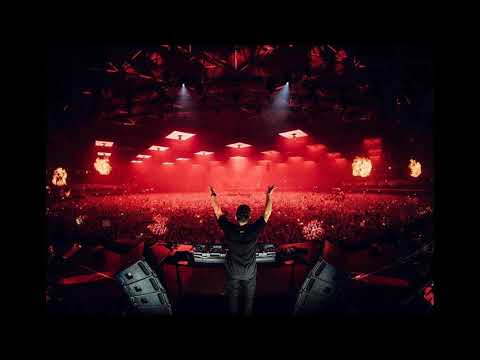 Martin Garrix vs Magnificence - Mistaken vs Closer (GracjanoP Mashup)