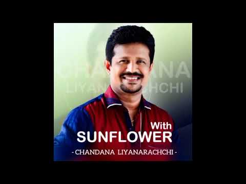Chandana liyanarachchi with sunflower. Best song collection