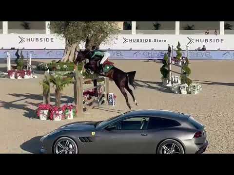 Sire El Barone 111 Z