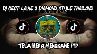 Download lagu DJ CEST LAVIE X DIAMOND STYLE THAILAND FULL BASS DJ TERBARU mp3