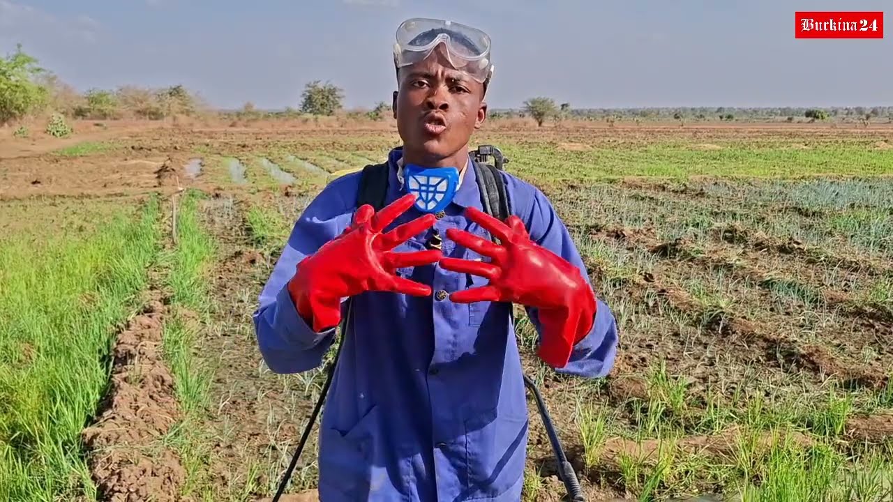 IP-P3A : Comment 70 jours de forge ont créé des «techniciens de la souveraineté ?