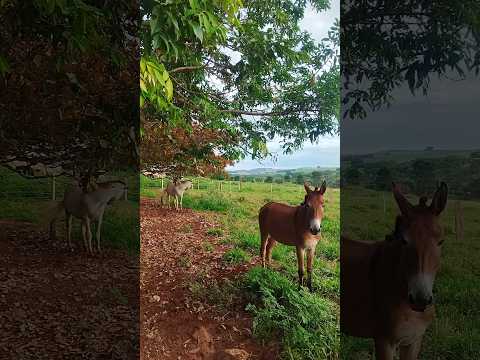 28/03/26, São João da Paraúna, GO #turismo #viagem #goias #saojoaodaparauna