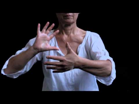 Tai chi de Mantak Chia