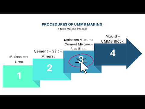 Urea Molasses Mineral Block (UMMB)Making Process
