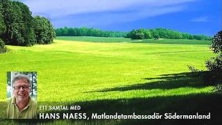 preview picture of video 'Hans Naess, Matlandetambassadör för Södermanland'