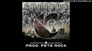 Canibus &amp; Pete Rock - Concourse P (Remix) (Ft Pete Rock &amp; Bronze Nazareth)
