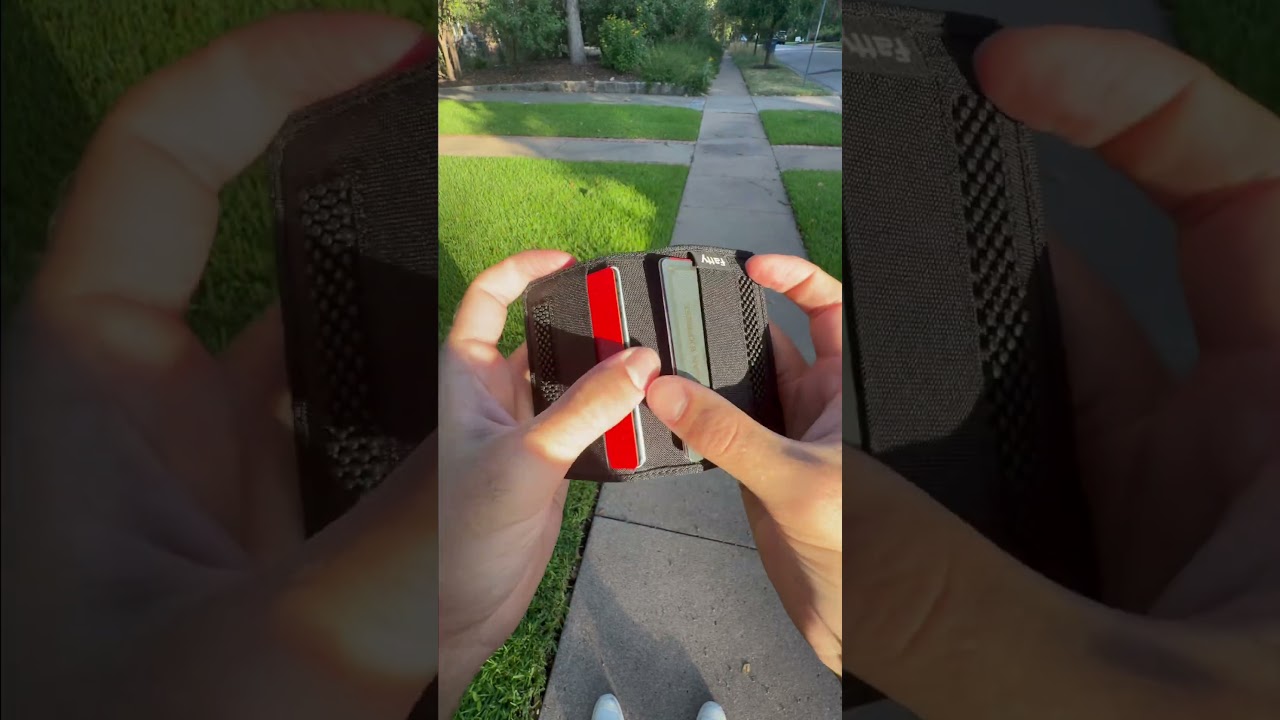 The Snap Wallet in Action