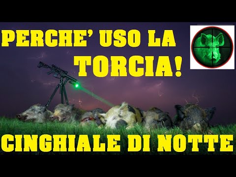 Visori notturni o torce? Ecco perché preferisco una torcia...