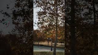 Eres Todo Para Mí Temerarios #lomejor #romantic