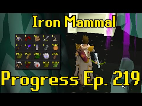 2227 Raids Later... | Iron Mammal Progress 219