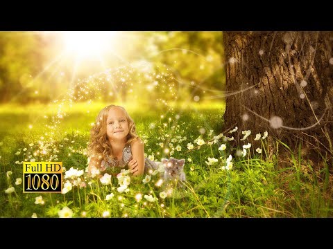 Any Dream Will Do | Andrew Lloyd Webber, Jason Donovan | Lyrics | FULL HD